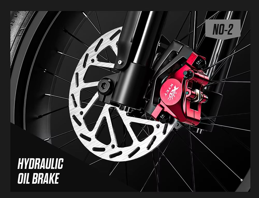 Elecy SurX - Shengmilo Electric Bike