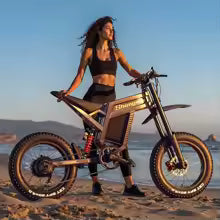 Elecy SurX - Shengmilo Electric Bike