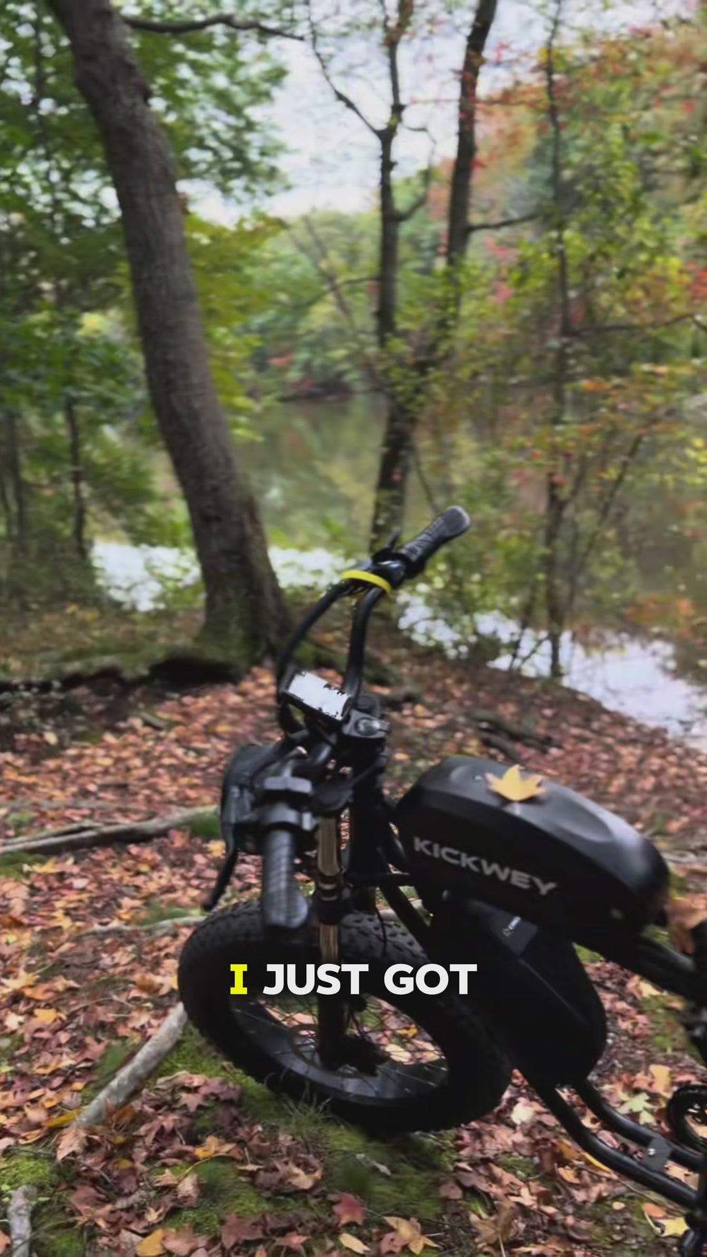 Elecy Old Boy - K7 Electric Bike